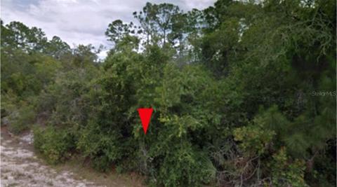 2210 Bliss Ter, Sebring, FL 33875 photo 1