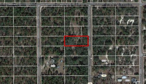 Sw Shasta Court, Dunnellon, FL 34431