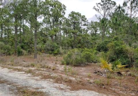 206 Suwannee Dr, Lake Placid, FL 33852