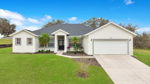 9641 Spring Lake Dr, Clermont, FL 34711 photo 1