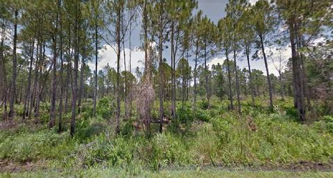 7100 Virtudes St, Sebring, FL 33872 photo 1