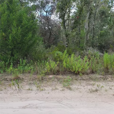 Ne 66th Lane, Williston, FL 32696