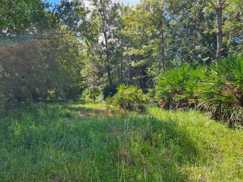 4529 Harder Ave, Sebring, FL 33875 photo 1