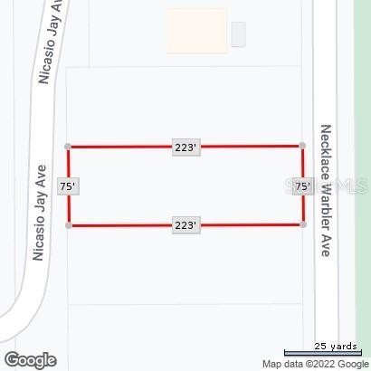 17286 Nicasio Jay Ave, Weeki Wachee, FL 34614