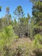 Salyers Road, Clermont, FL 34714
