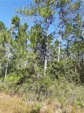 S Fork Ranch Drive, Clermont, FL 34714