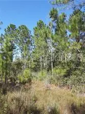 Salyers Road, Clermont, FL 34714