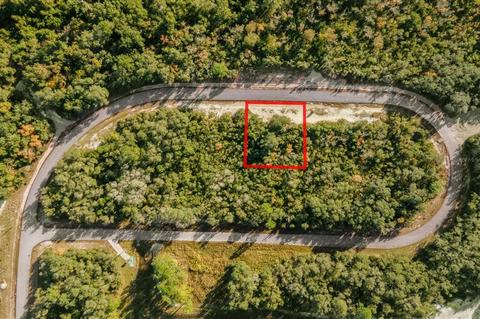 1240 Baltic Dr, Poinciana, FL 34759