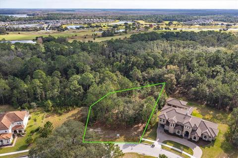 7163 Oak Glen Trl, Harmony, FL 34773