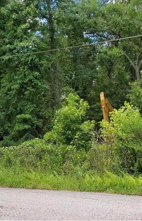 6 Th St, Astor, FL 32102