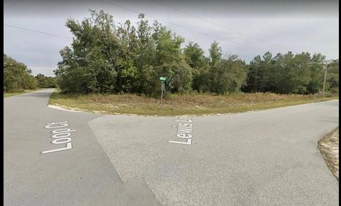 33443 Lewis Ln, Webster, FL 33597 photo 1