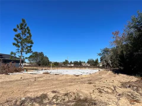 17 Malauka Cir, Ocklawaha, FL 32179