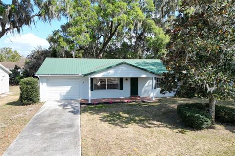 131 Douglas Dr, Eustis, FL 32726 photo 1