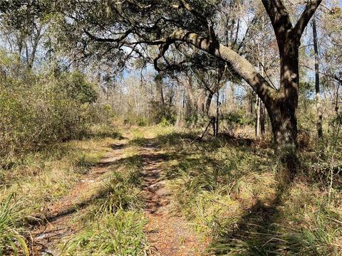 NE Waldo Sr 24 Road, Gainesville, FL 32609
