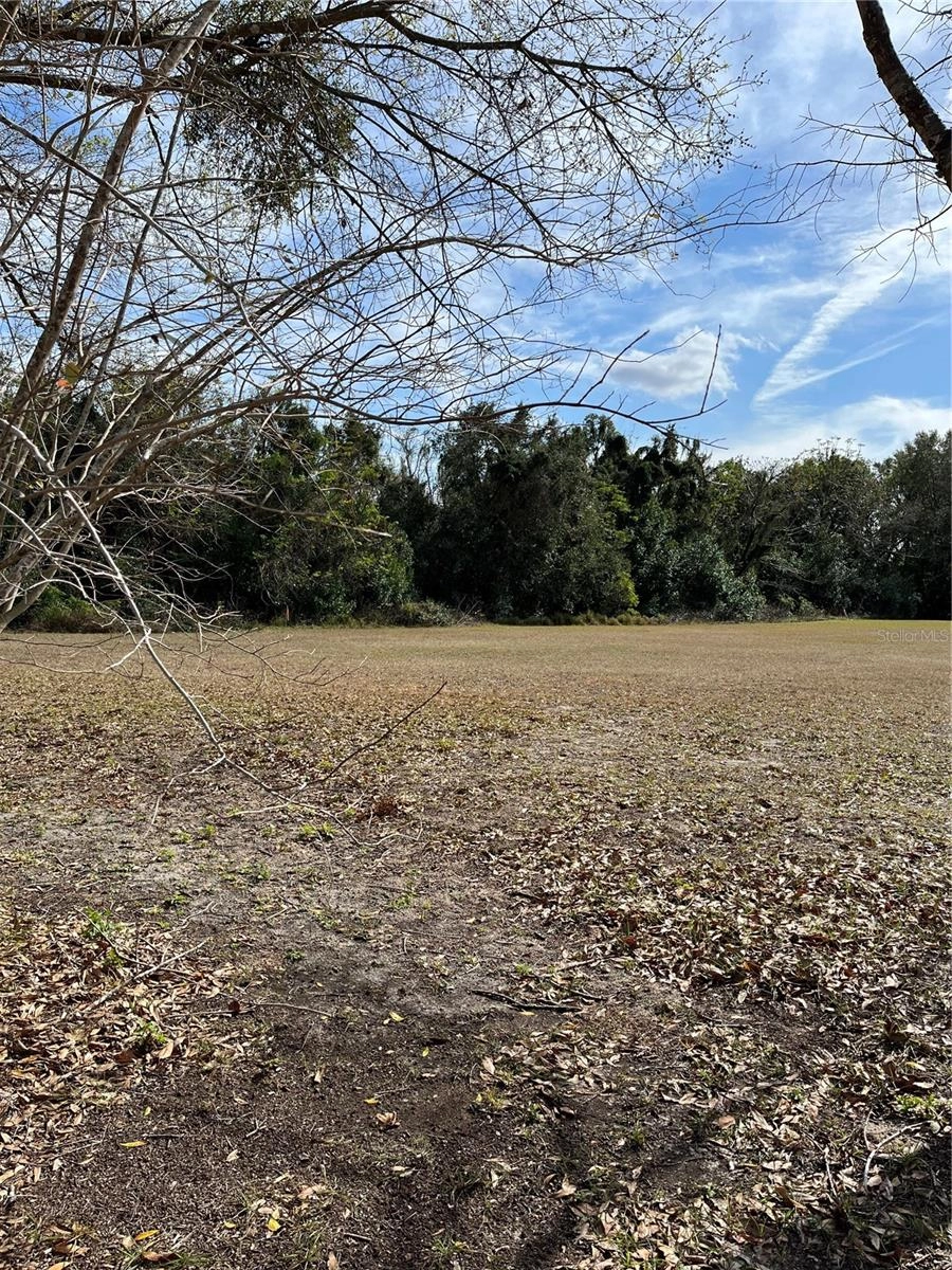 Cross Cut Court, Ocoee, FL 34761 photo 1