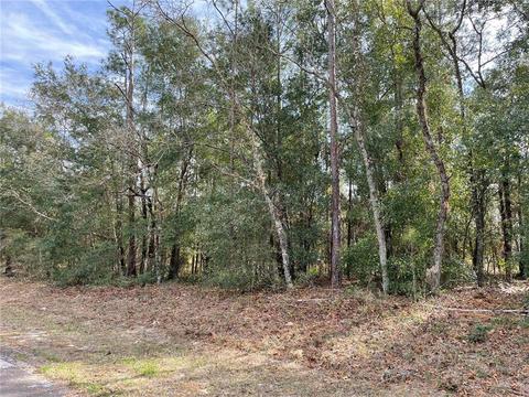 1870 W Alhambra Dr, Citrus Springs, FL 34434