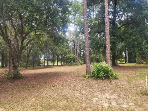 Lot 5 Bonsmara Drive, Leesburg, FL 34748
