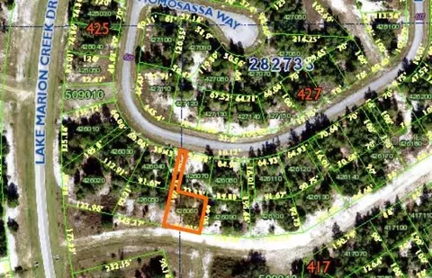 1352 Homosassa Dr, Poinciana, FL 34759