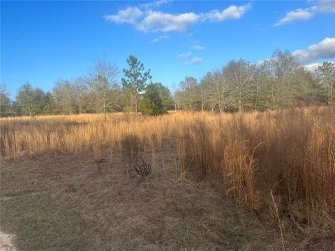 0 Live, Live Oak, FL 32060
