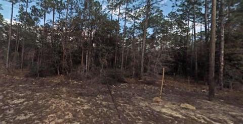 8867 N Spikes Way, Citrus Springs, FL 34434