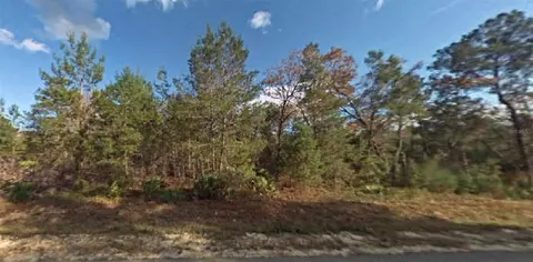 NE 237th Lane, Orange Springs, FL 32182