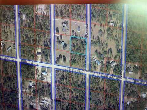 290 NE 138th Ave, Williston, FL 32696 photo 1