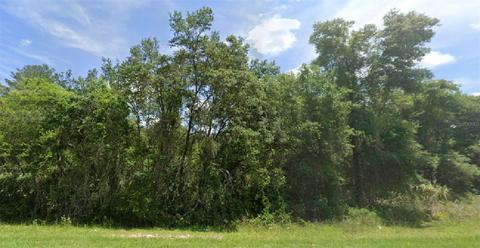 SE 145th Place, Umatilla, FL 32784