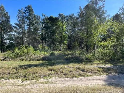 00 SW 151st Pl, Dunnellon, FL 34432