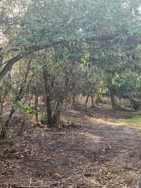 5110 Penvan Ave, De Leon Springs, FL 32130