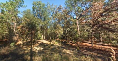 SW 12th Place, Ocala, FL 34481