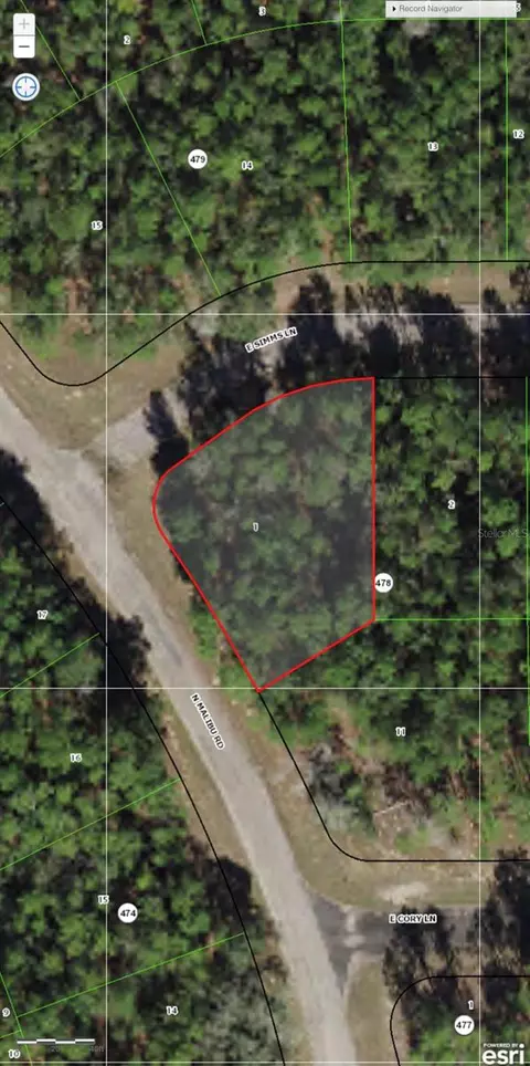 128 E Simms Ln, Citrus Springs, FL 34434
