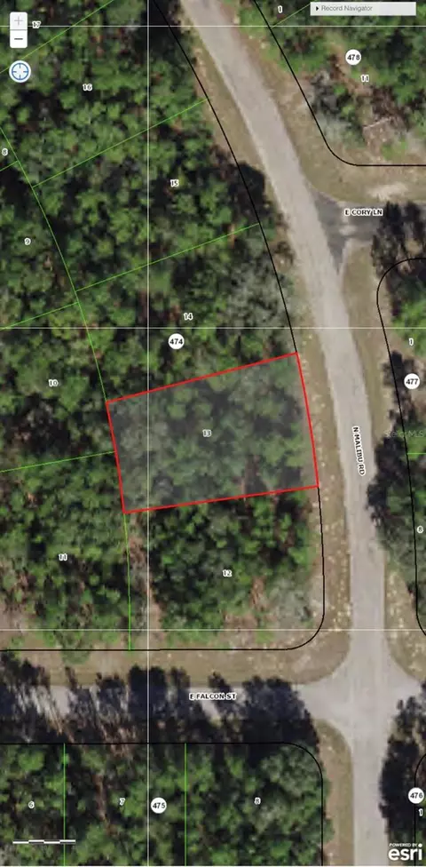 8564 N Malibu Rd, Citrus Springs, FL 34434