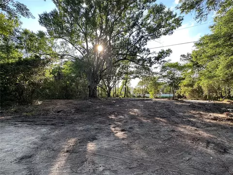 1516 Bear Woods Ln, Apopka, FL 32703