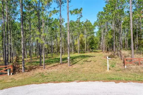 Angels Landing Court, Clermont, FL 34715