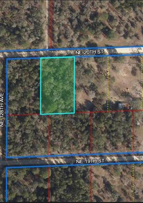 12870 NE 20th St, Williston, FL 32696 photo 1
