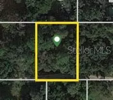 Se 157th Street, Umatilla, FL 32784