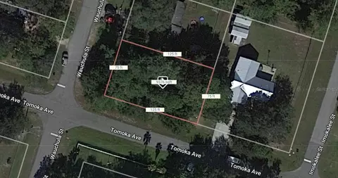 Wauchula Street, Intercession City, FL 33848