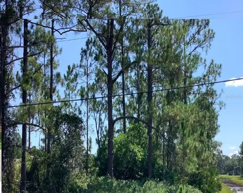 Caesar Avenue, Orlando, FL 32833