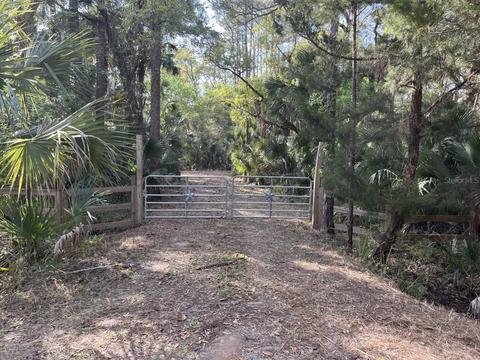 1290 Gopher Slough Rd, Mims, FL 32754 photo 1