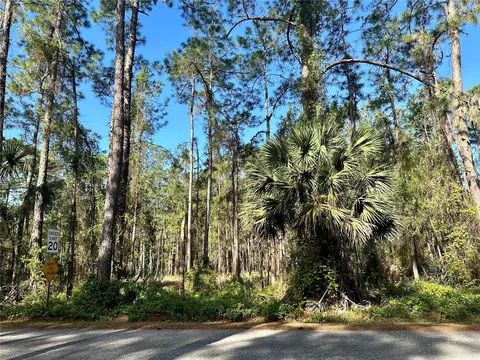 Sanctuary Avenue, Debary, FL 32713