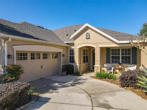22011 Belgian Ct, Mount Dora, FL 32757 photo 1
