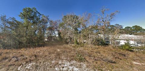 11439 Kerridale Ave, Spring Hill, FL 34608