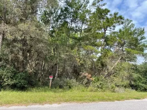 Lot 16 Chinaberry Street, Eustis, FL 32736