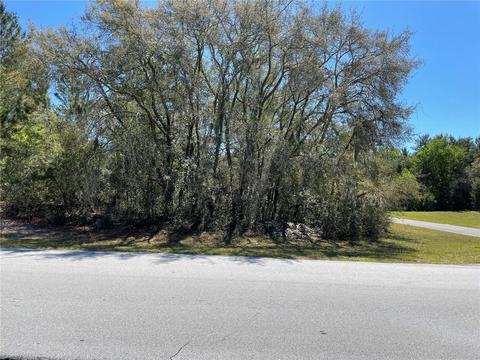 Tbd SW 143rd Place Road, Ocala, FL 34473