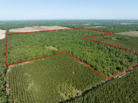 145 Th Rd, Live Oak, FL 32060