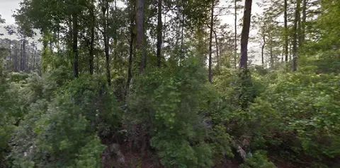 NE 152nd Court, Fort Mc Coy, FL 32134