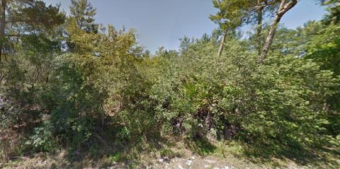 Bay Terrace Way, Ocklawaha, FL 32179