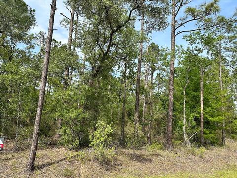 Southwest Sea Cliff Avenue, Dunnellon, FL 34431