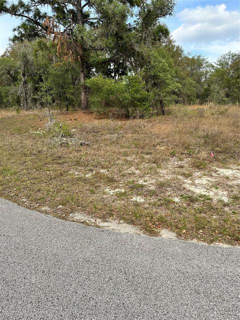 Southwest Rainelle Road, Dunnellon, FL 34431