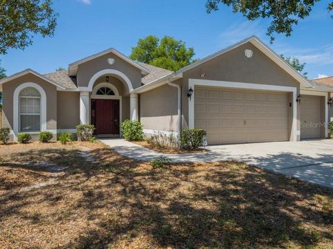 2501 Wheeler Groves Dr, Seffner, FL 33584 photo 1
